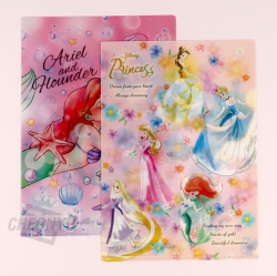 Disney Princess A4 Clear File