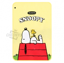 Snoopy Blanket _ Red roof