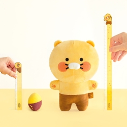 Choonsik 15cm Ruler