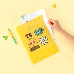 Kakao friends say cheese  Document File, 5Pockets 