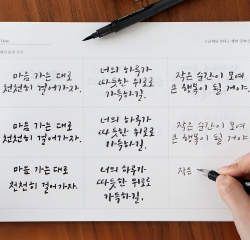 Handwriting Workbook - Calligraphy Series