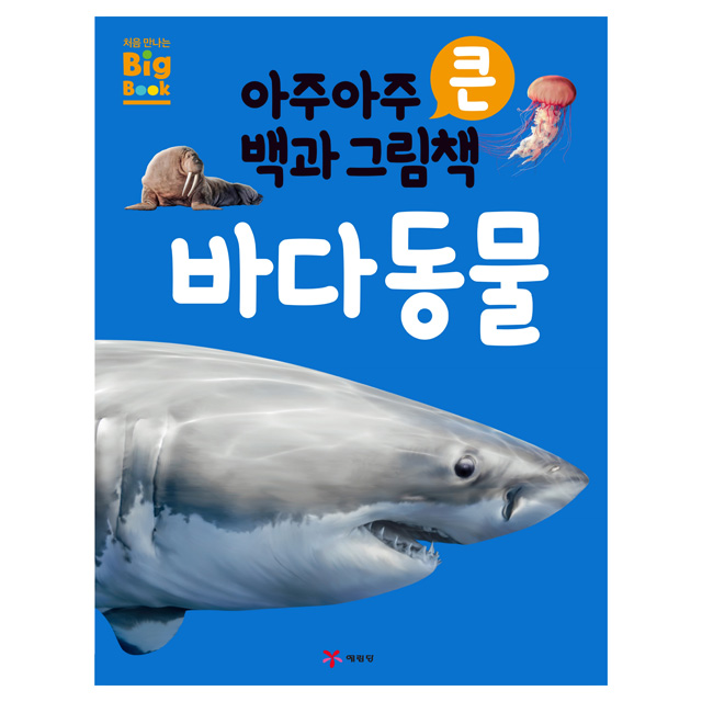 A Big Picture Book Sea Animals