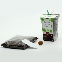 Cup Garden