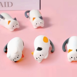 Rolling Cat