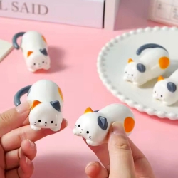 Rolling Cat