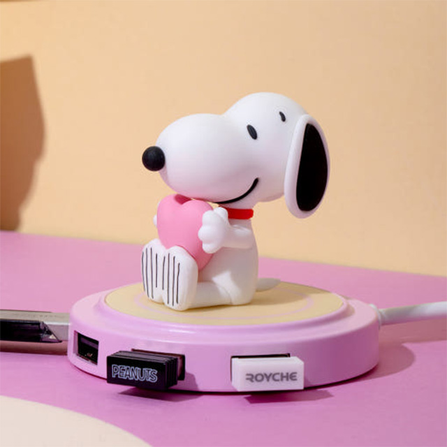 Snoopy Multi Hub