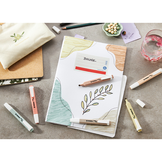 Swing Cool Highlighter Nature, 6Colors Set 